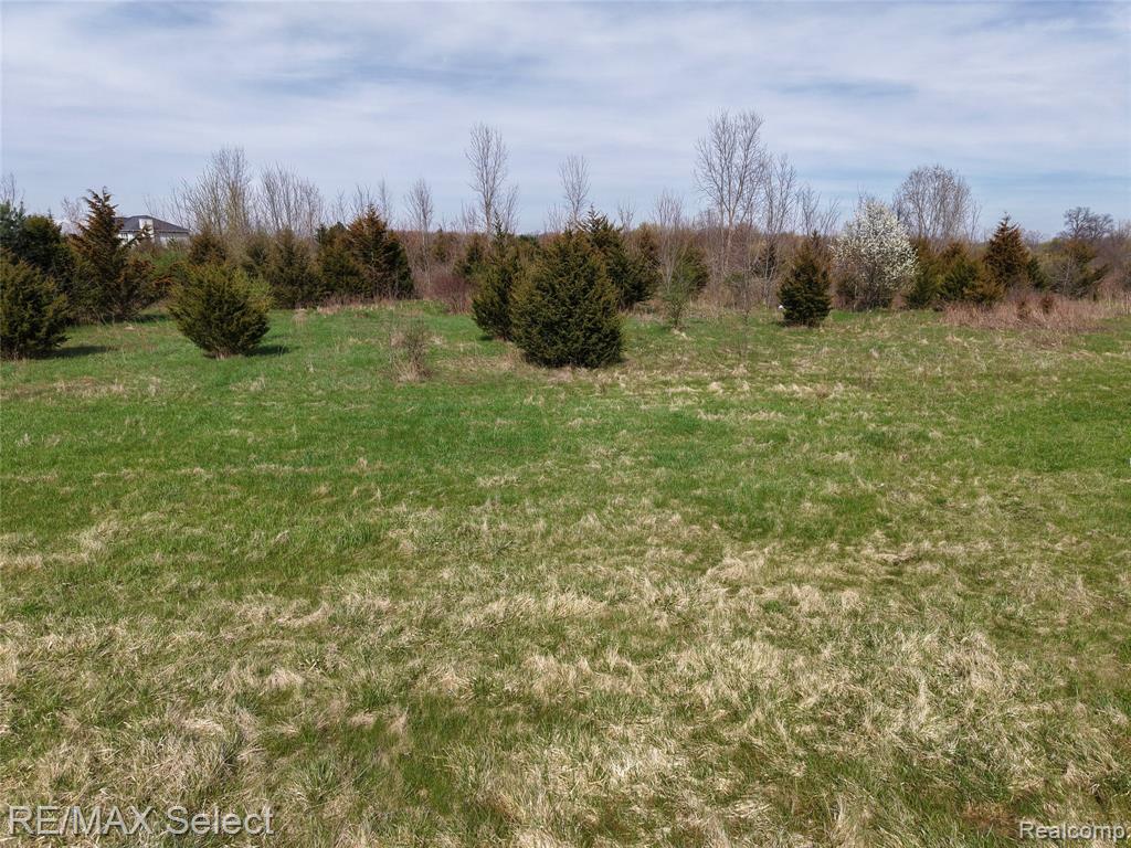 0 South Morrish Road Flint, MI 48532 - Photo 11 of 13