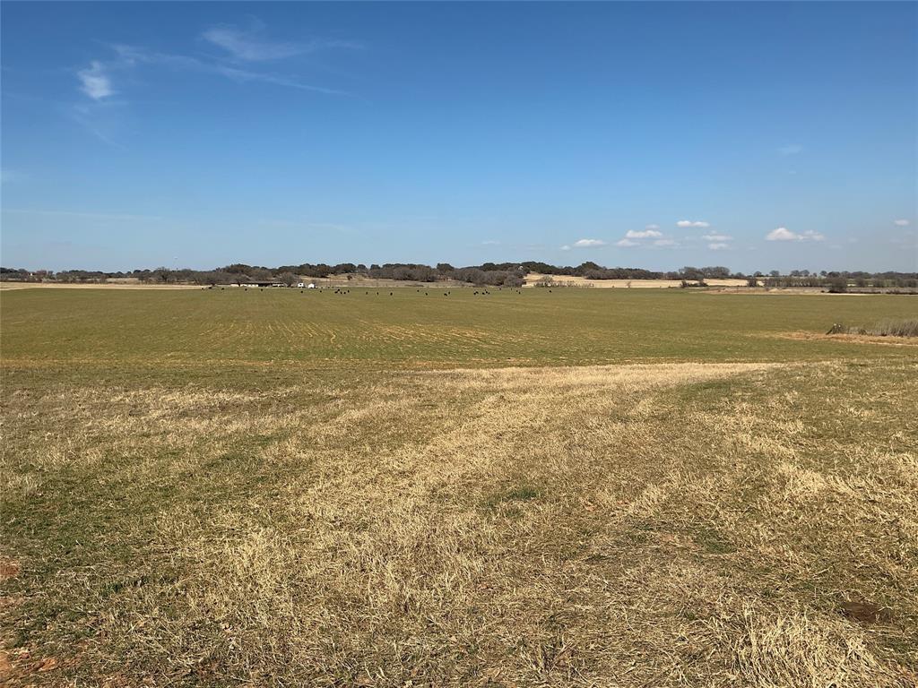 Tbd Tbd Cr415 Comanche, TX 76442 - Photo 4 of 5