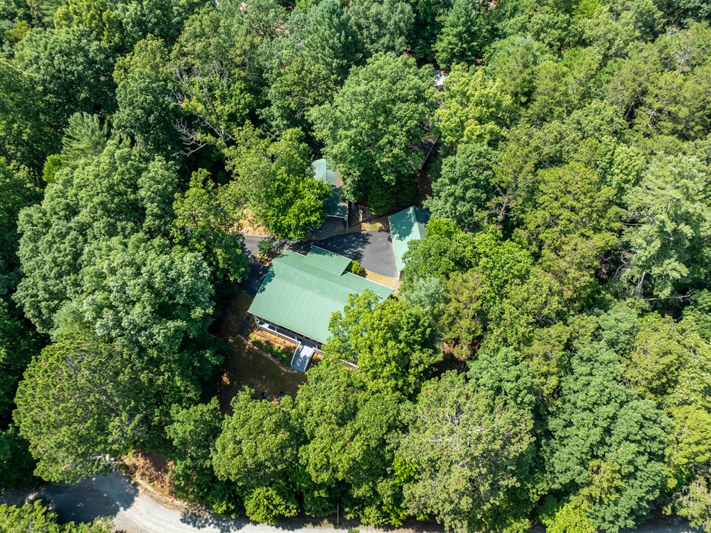95 Morgan Way Ellijay, GA 30540 - Photo 16 of 61 Gallery Image 16