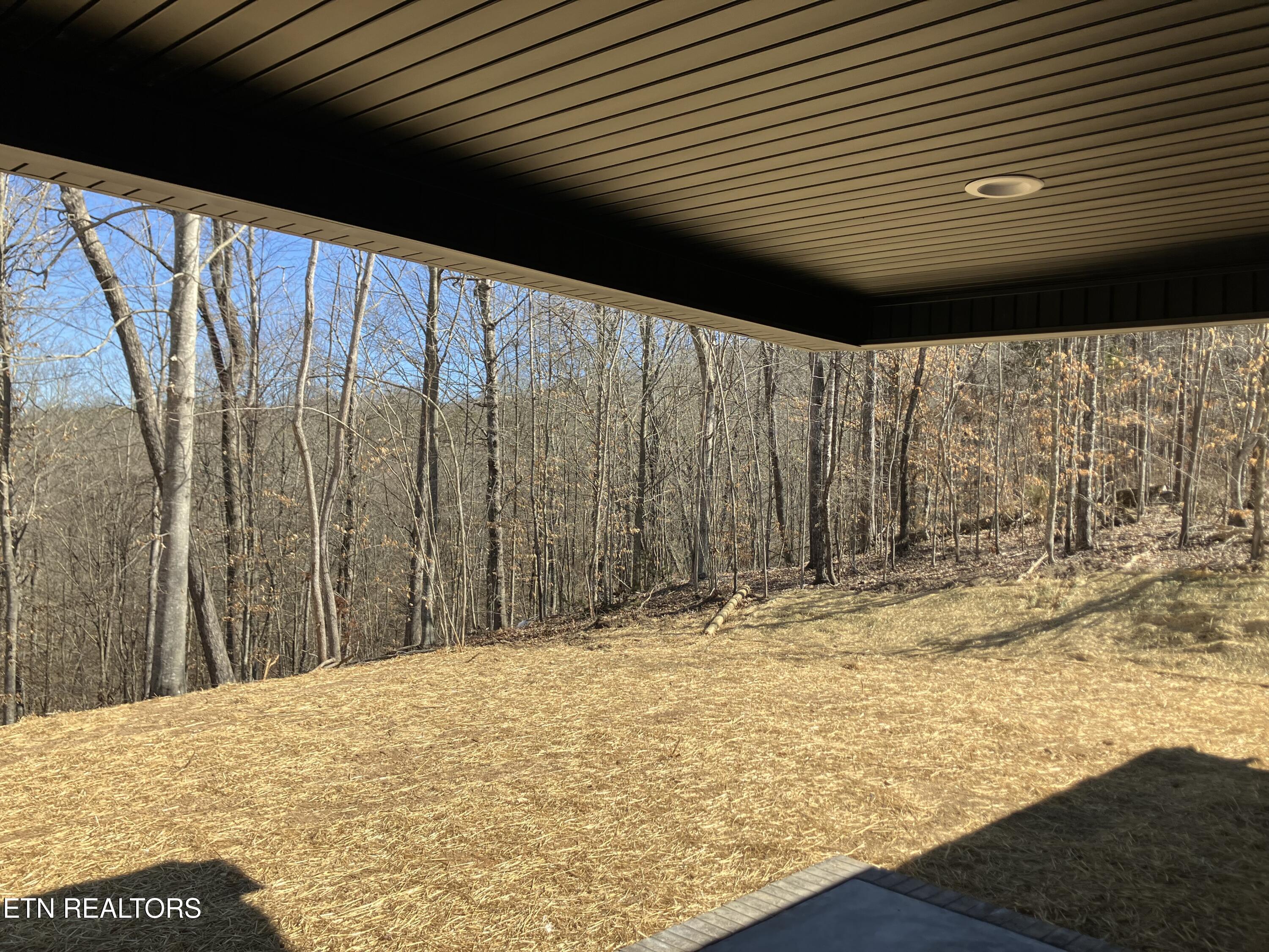 331 Timber Creek Road Maynardville, TN 37807 - Photo 19 of 19 IMG_4555 (1)