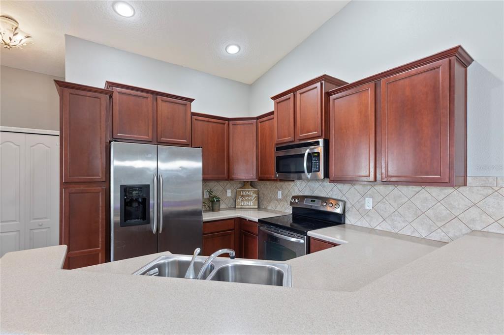 9107 Moonlit Meadows Loop Riverview, FL 33578 - Photo 6 of 24
