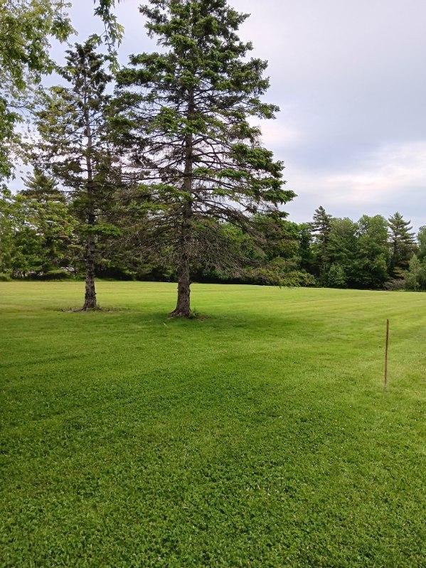 91 Pierce Road Brewer, ME 04412 - Photo 12 of 62 image000000(18)