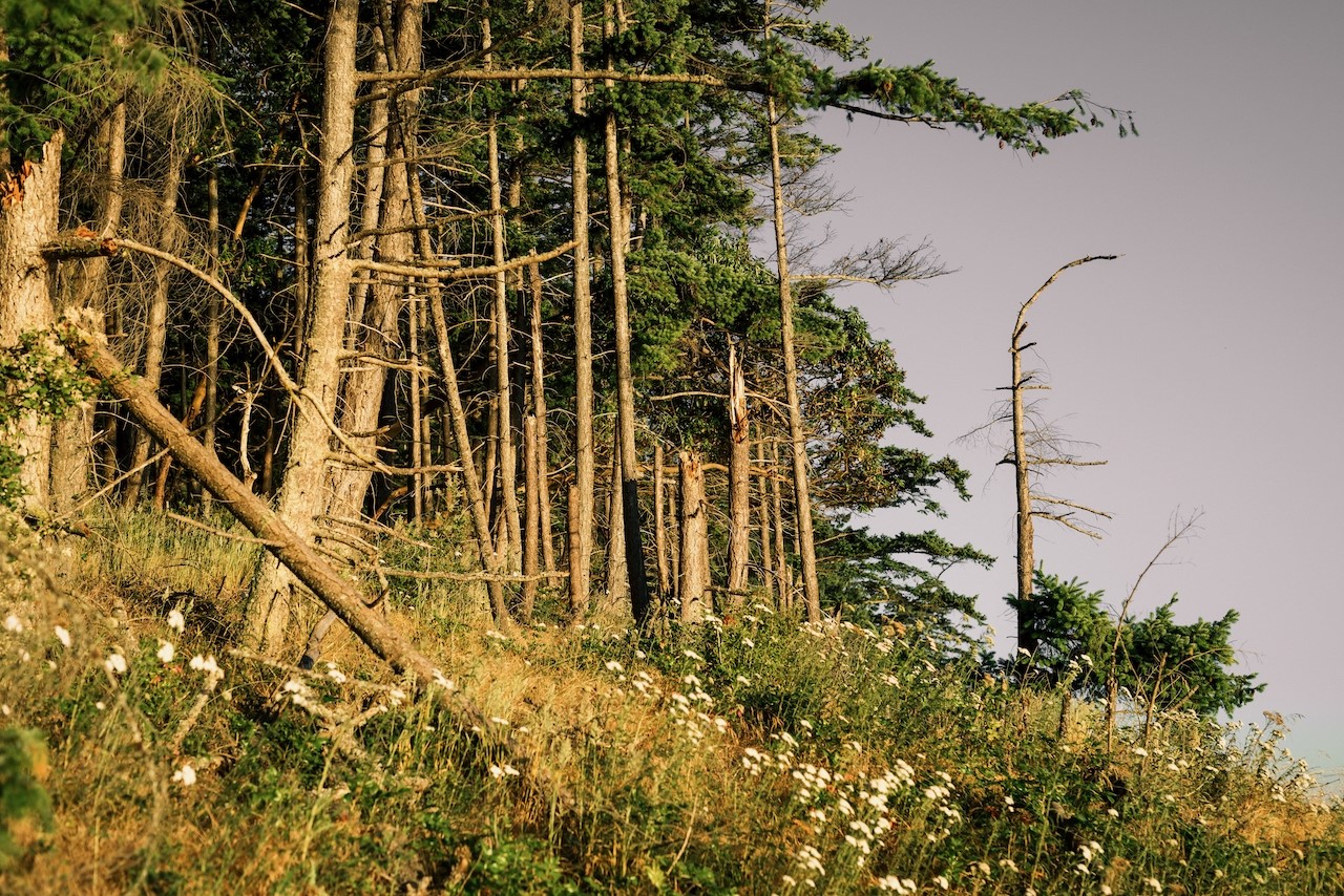 291 Arbel Way Bellingham, WA 98229 - Photo 13 of 38 a picture of a door
