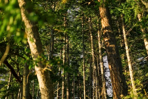 a view of outdoor space