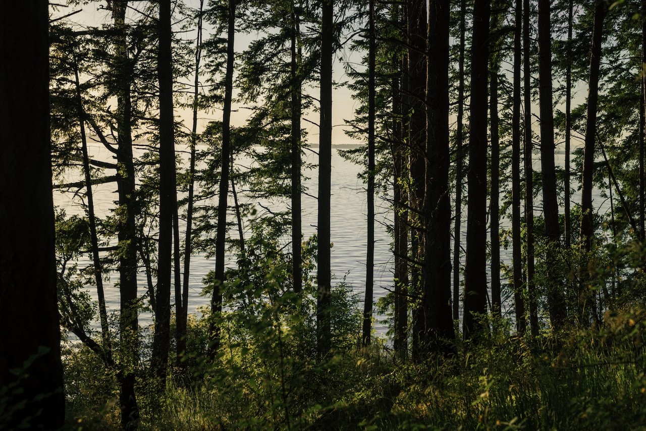291 Arbel Way Bellingham, WA 98229 - Photo 17 of 38 a view of outdoor space
