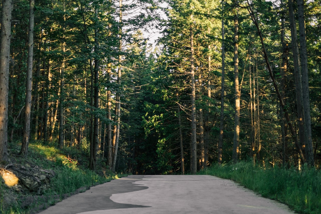 291 Arbel Way Bellingham, WA 98229 - Photo 22 of 38