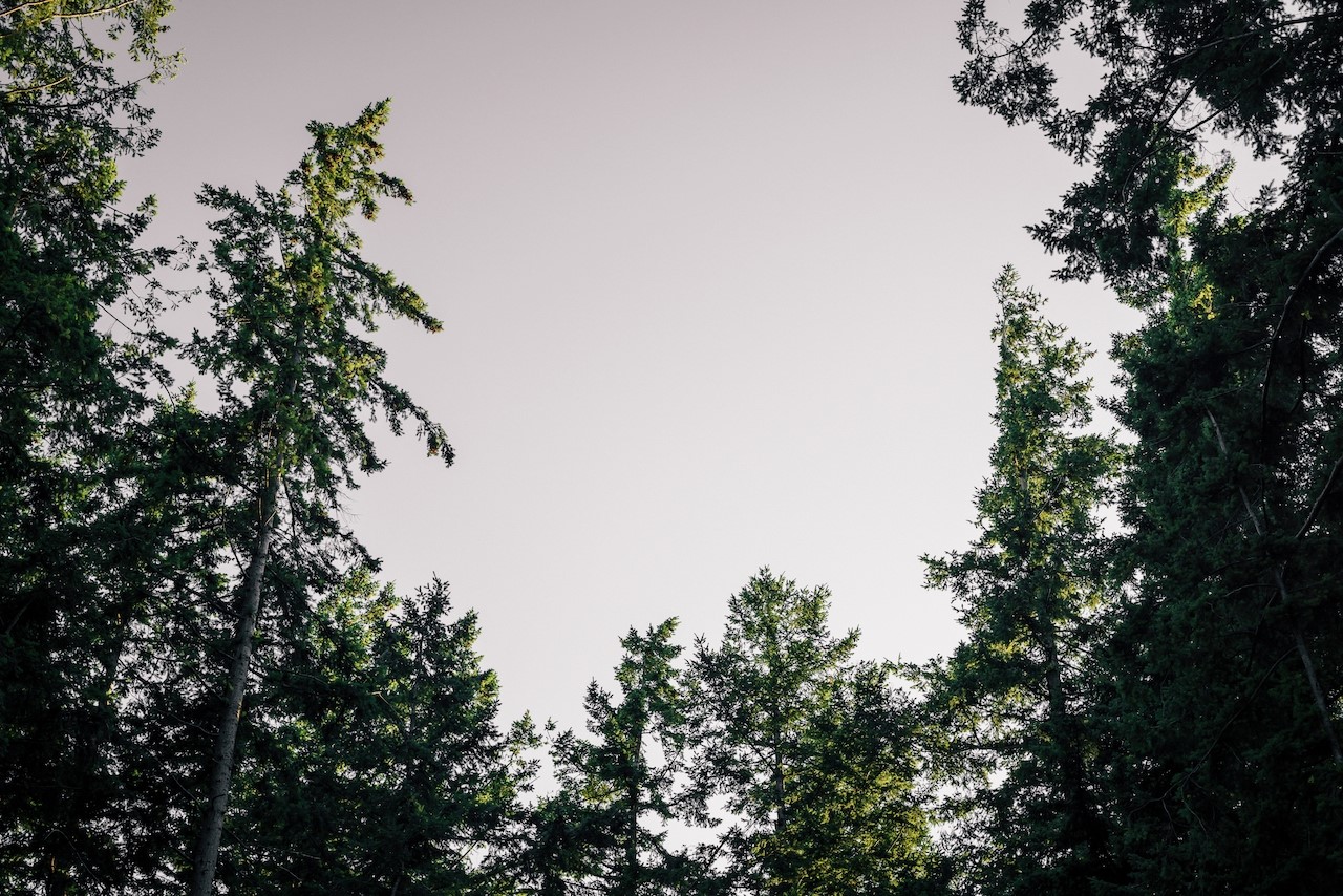 291 Arbel Way Bellingham, WA 98229 - Photo 23 of 38