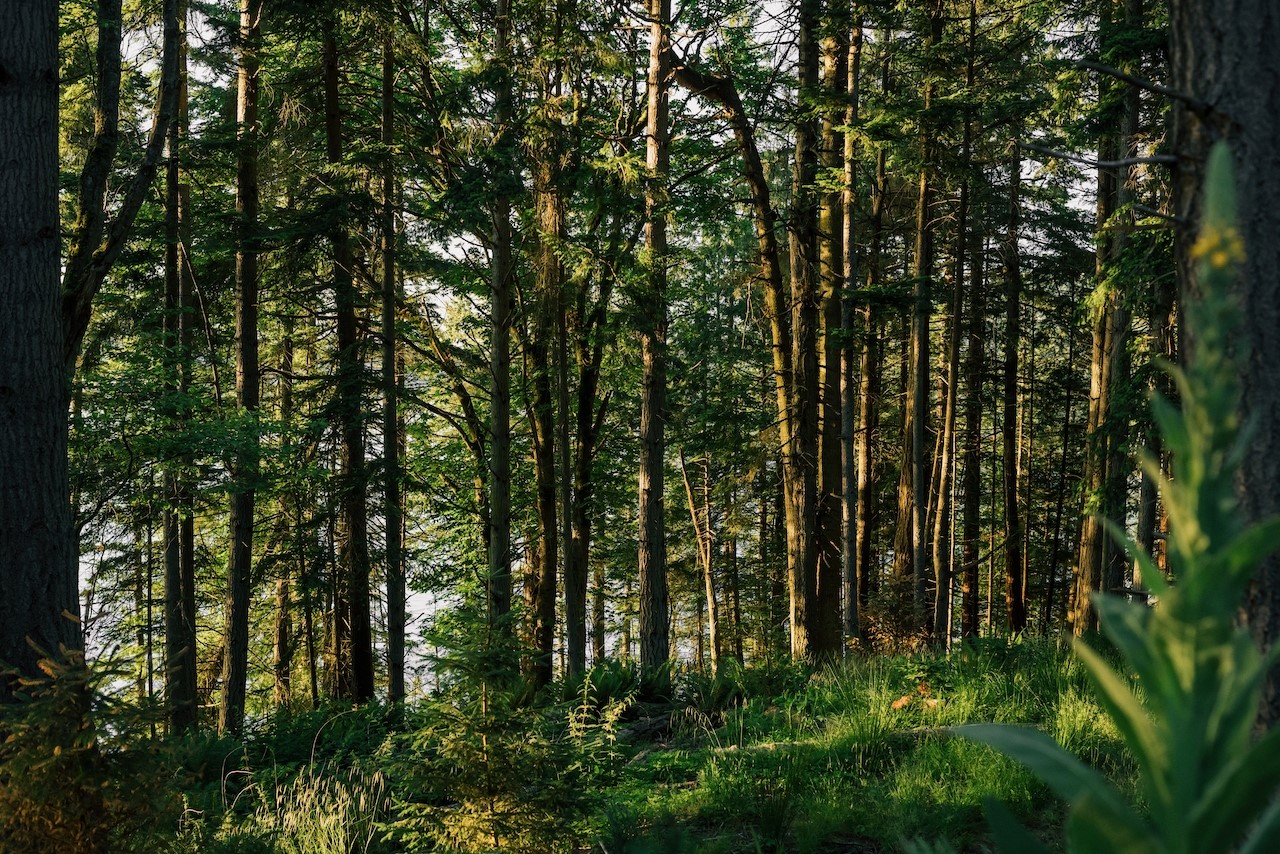 291 Arbel Way Bellingham, WA 98229 - Photo 24 of 38