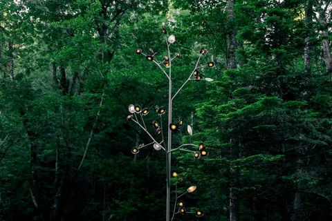 a view of outdoor space and garden