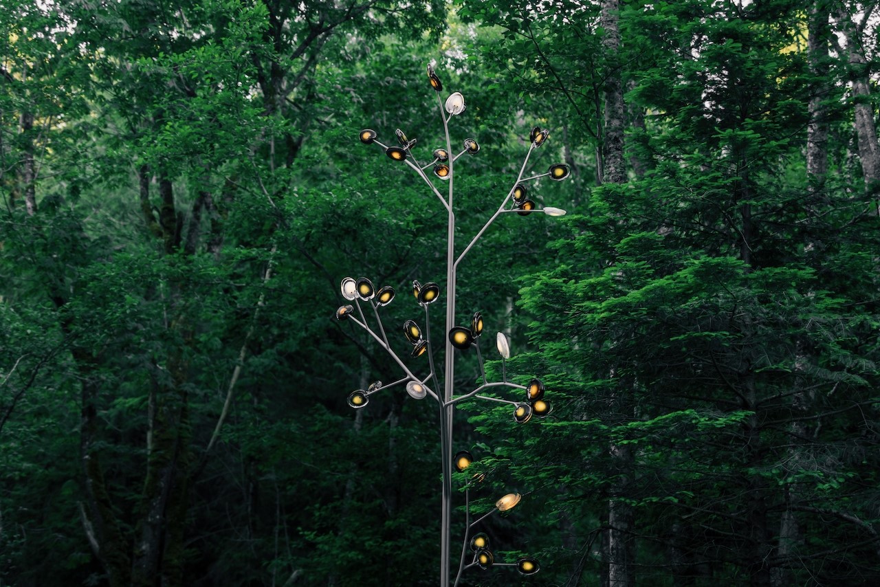 291 Arbel Way Bellingham, WA 98229 - Photo 25 of 38