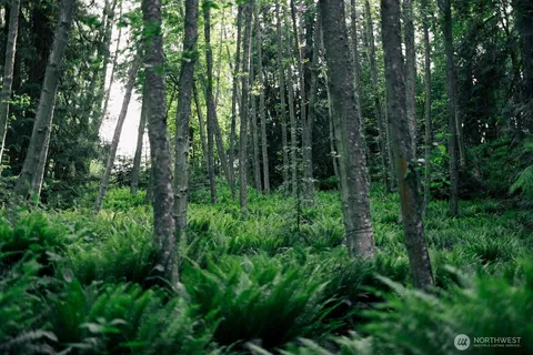 a backyard of a house with lots of green space and lake view
