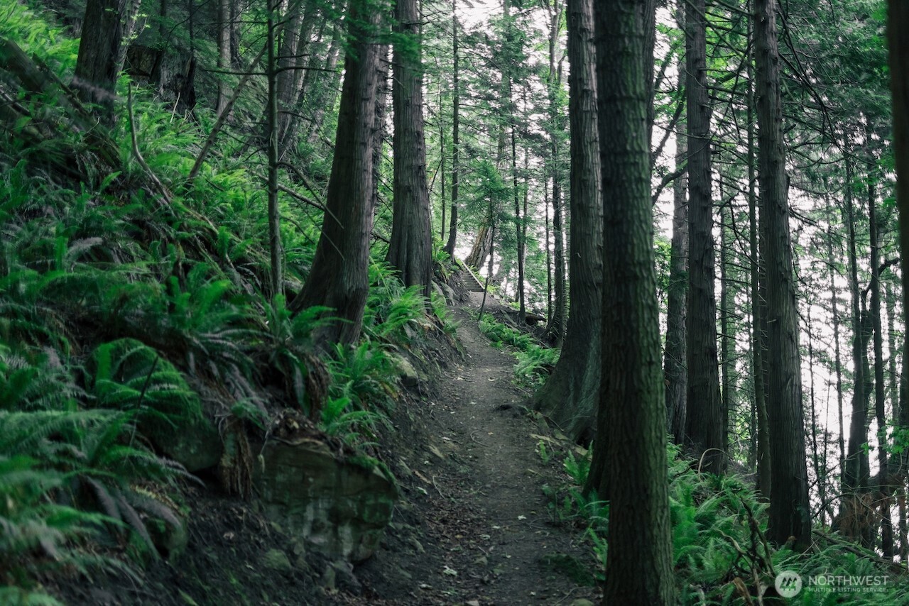 291 Arbel Way Bellingham, WA 98229 - Photo 30 of 38 a view of outdoor space and green space