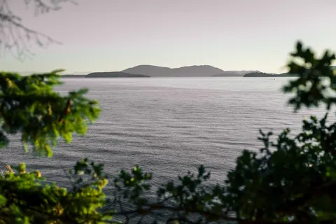 a view of a house with a tree