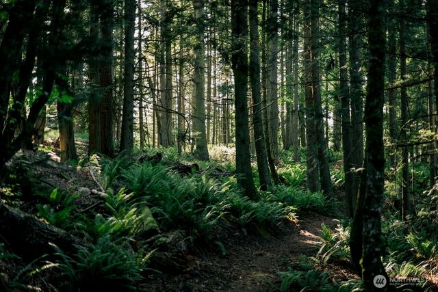 $5,800,000 | 291 Arbel Way, Bellingham, WA 98229