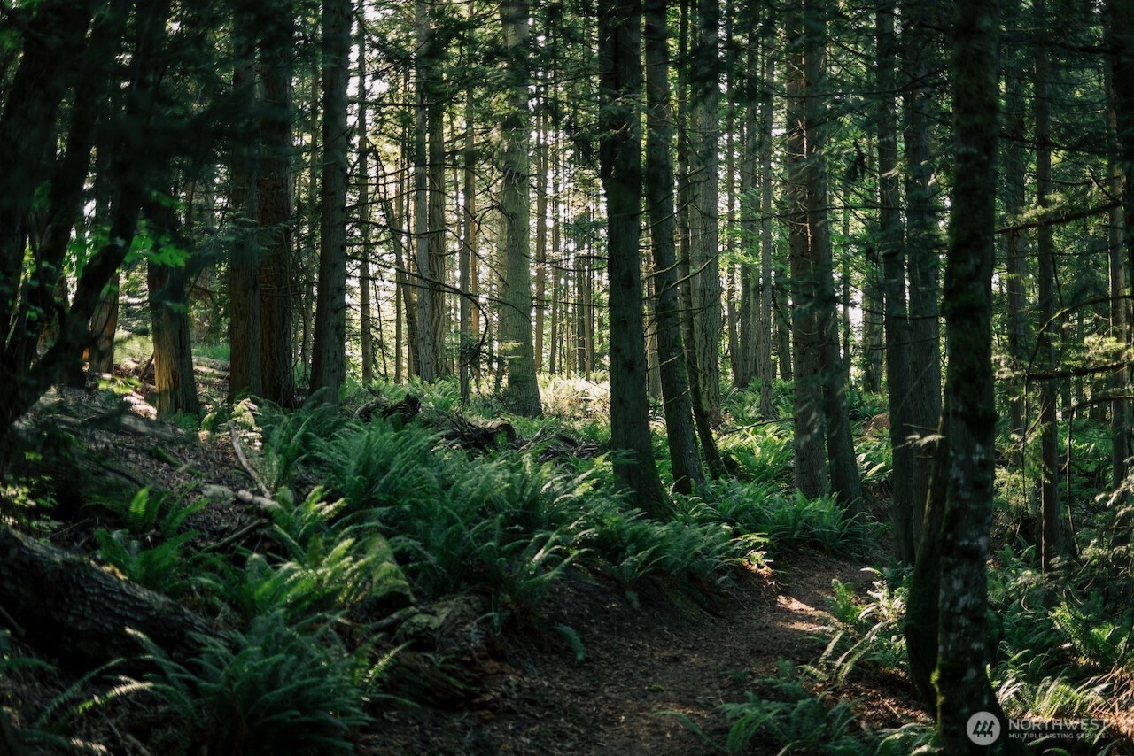 291 Arbel Way Bellingham, WA 98229 - Photo 32 of 38 a view of outdoor space and garden