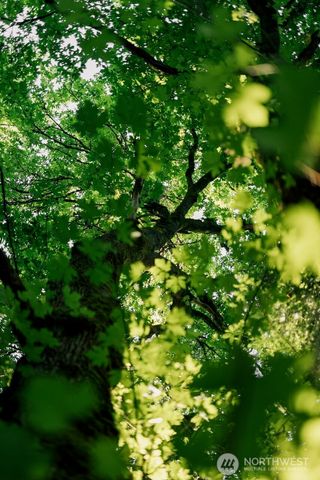 $5,800,000 | 291 Arbel Way, Bellingham, WA 98229