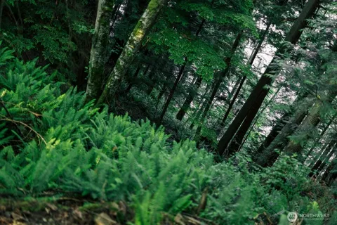 $5,800,000 | 291 Arbel Way, Bellingham, WA 98229