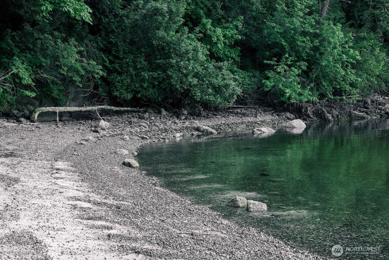 291 Arbel Way Bellingham, WA 98229 - Photo 36 of 38 a backyard of a house with lots of green space and lake view