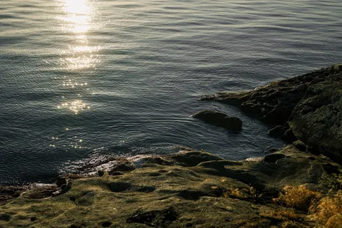a view of a buildings