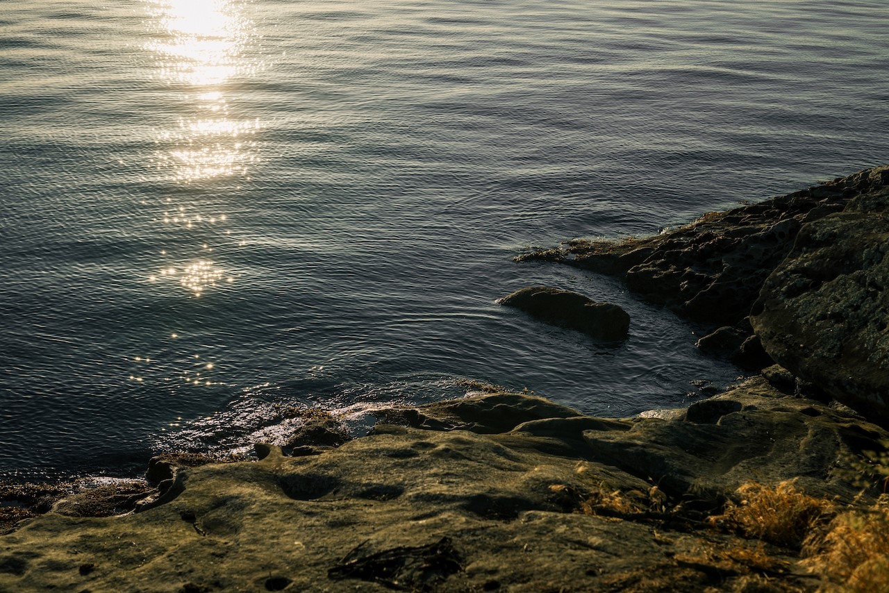 291 Arbel Way Bellingham, WA 98229 - Photo 5 of 38