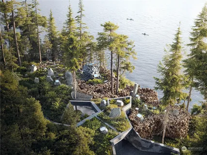 a view of trees and yard in a yard