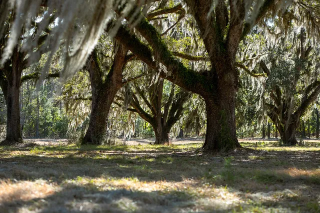 $349,000 | 5 Mauricena Road, Georgetown, SC 29440