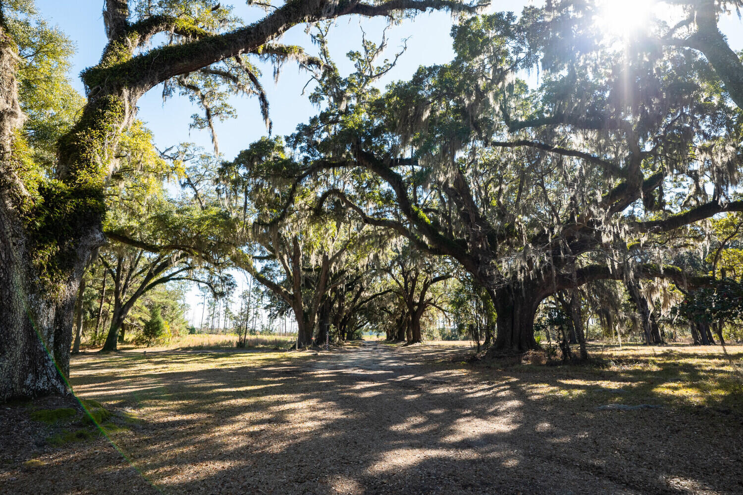 5 Mauricena Road Georgetown, SC 29440 - Photo 11 of 17 695d31326be61