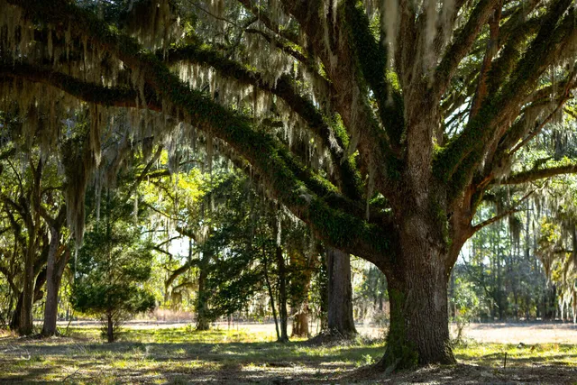 $349,000 | 5 Mauricena Road, Georgetown, SC 29440