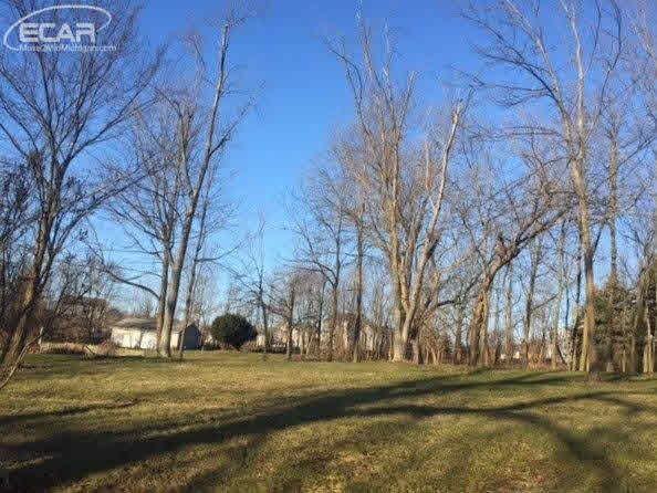 Denton Hill Road Flint, MI 48532 - Photo 3 of 3