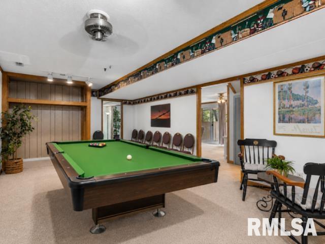5260 River View Road Riverton, IL 62561 - Photo 22 of 34