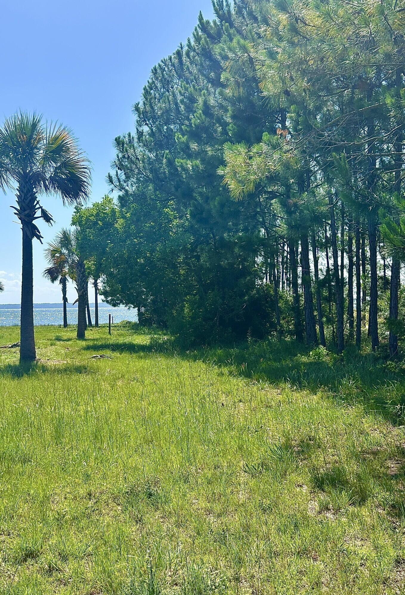 1021 Pearson Road Milton, FL 32583 - Photo 3 of 12 a view of green field