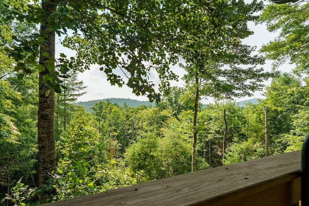 120 Bell Camp Road Blue Ridge, GA 30513 - Photo 32 of 34 Gallery Image 32