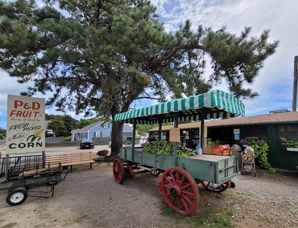 348 Lower County Road Dennis, MA 02639 - Photo 38 of 40