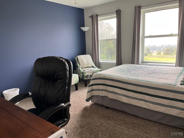 7785 Hamilton Road Hamilton, NY 13346 - Photo 29 of 42 Bedroom 4