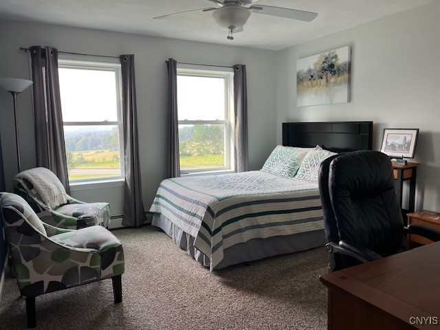 7785 Hamilton Road Hamilton, NY 13346 - Photo 30 of 42 Bedroom 4