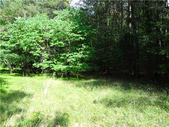 20 Pottery Lane, Unit 20 Raleigh, NC 27616 - Photo 3 of 3