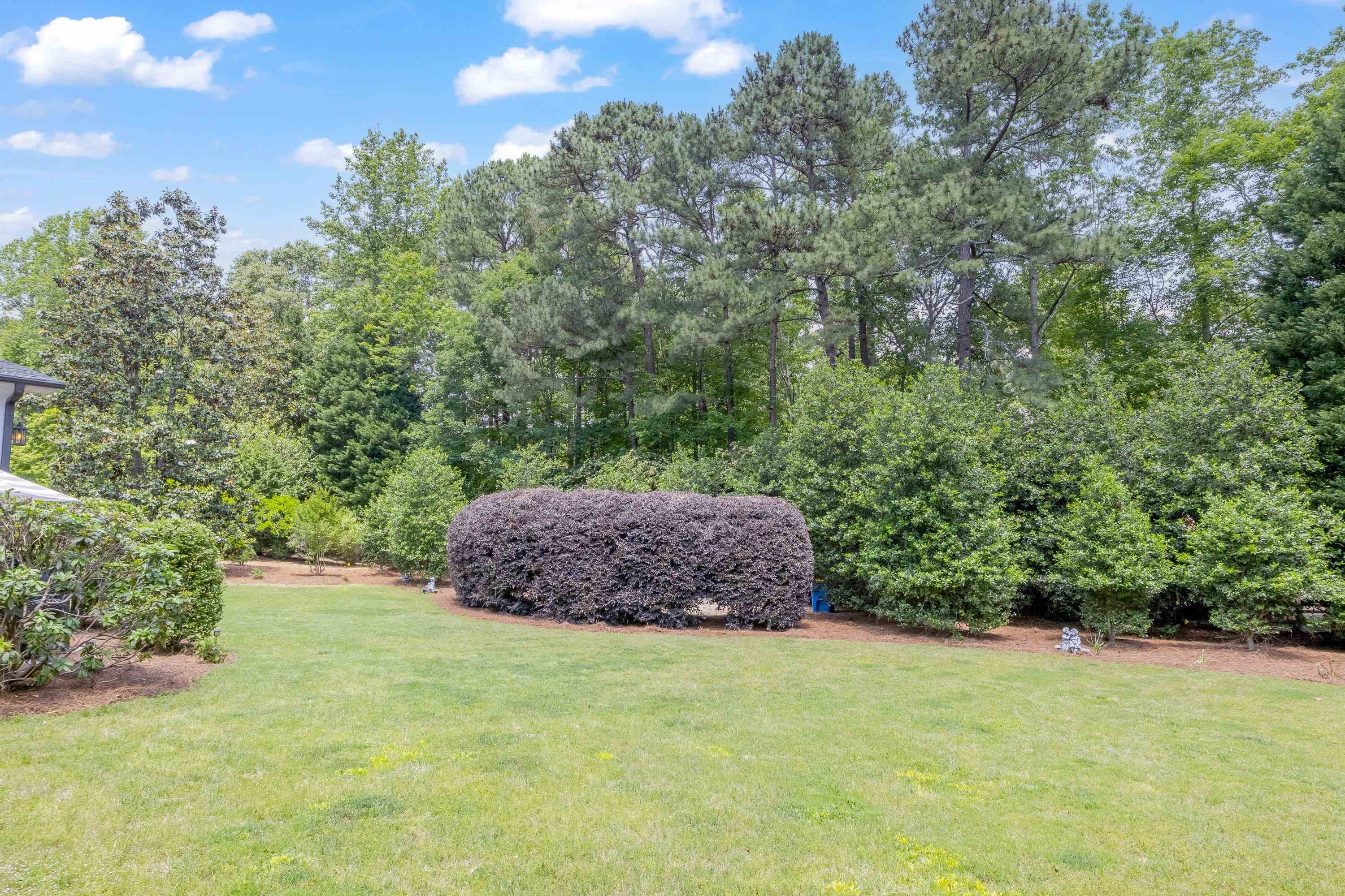 115 Carpathian Way Raleigh, NC 27615 - Photo 48 of 52 Photo 48