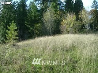 -xxx Witherbee Road Kelso, WA 98626 - Photo 1 of 1 Gallery Image 1