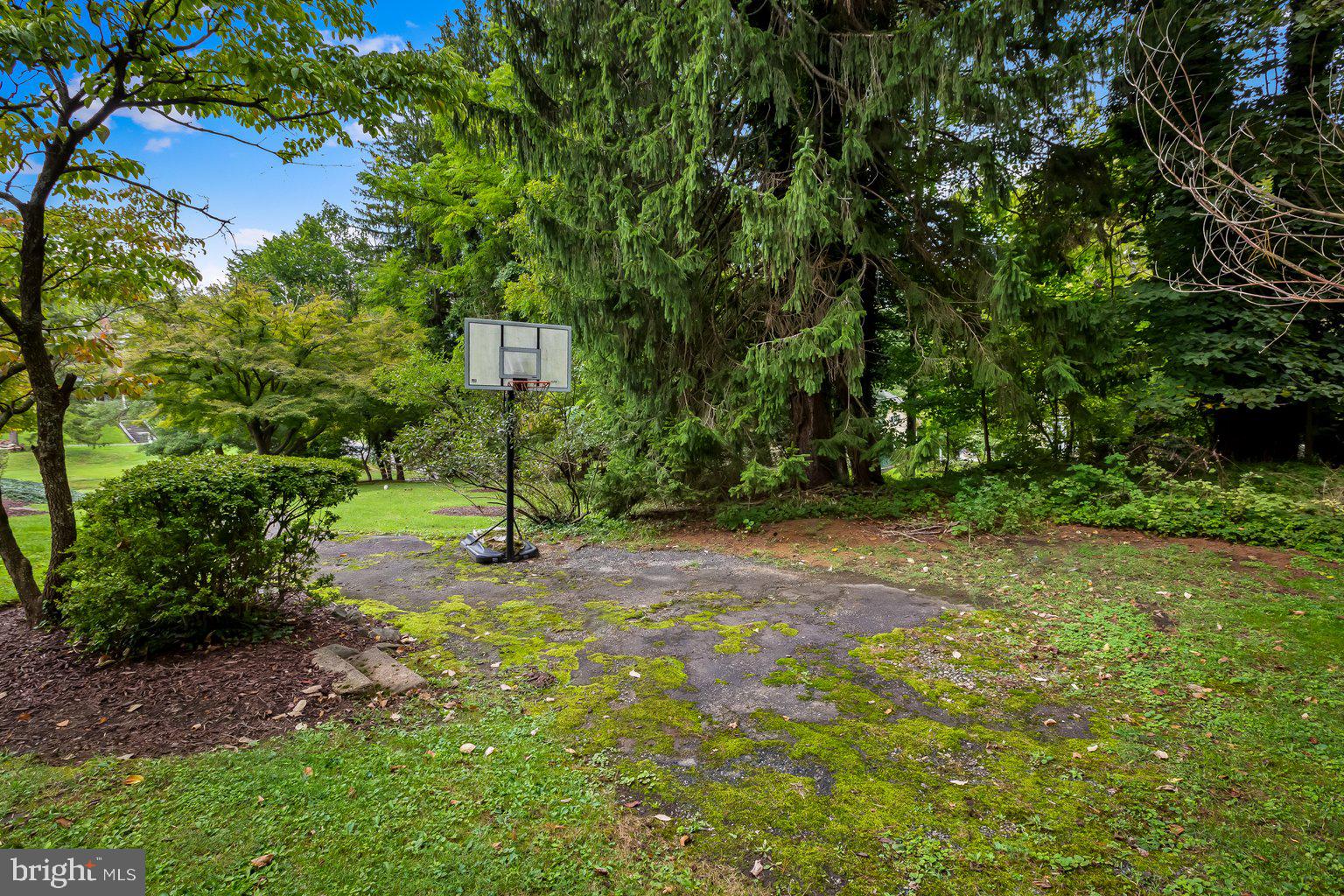 1809 Dixon Road Baltimore, MD 21209 - Photo 57 of 62 basketball court