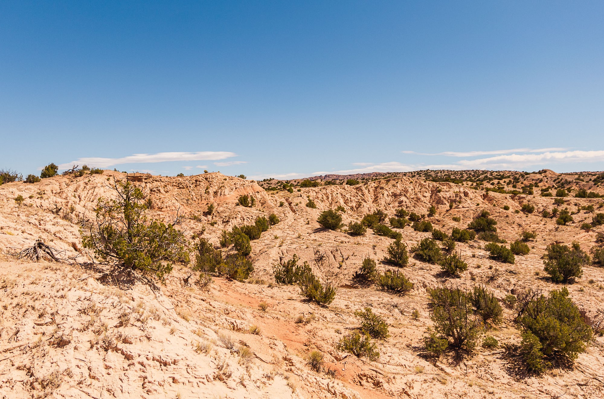 0 El Rito Estates Abiquiu, NM 87510 - Photo 49 of 56