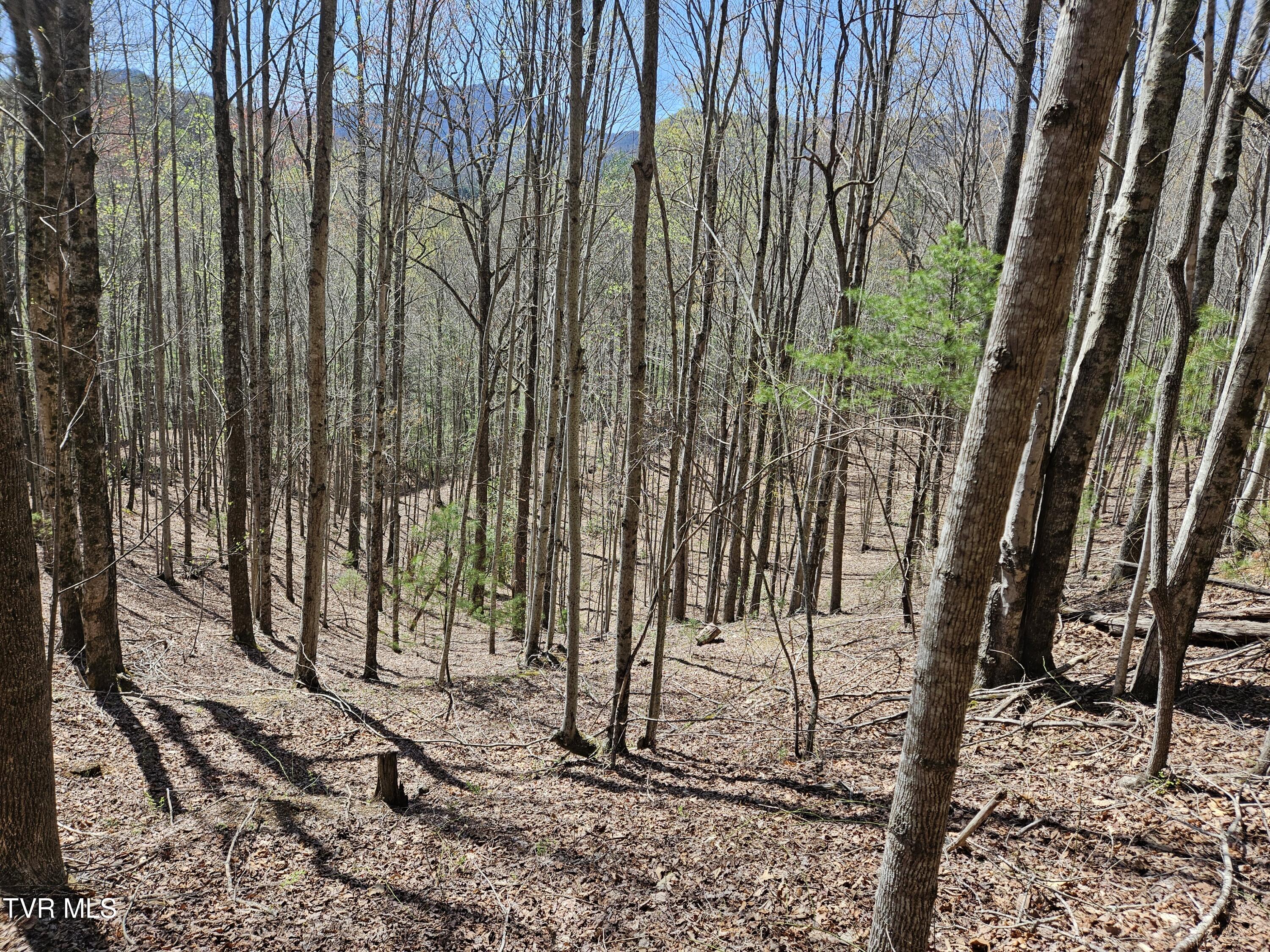 0 Ray Kegley Road, Unit 1C Erwin, TN 37650 - Photo 11 of 27 20250409_145602