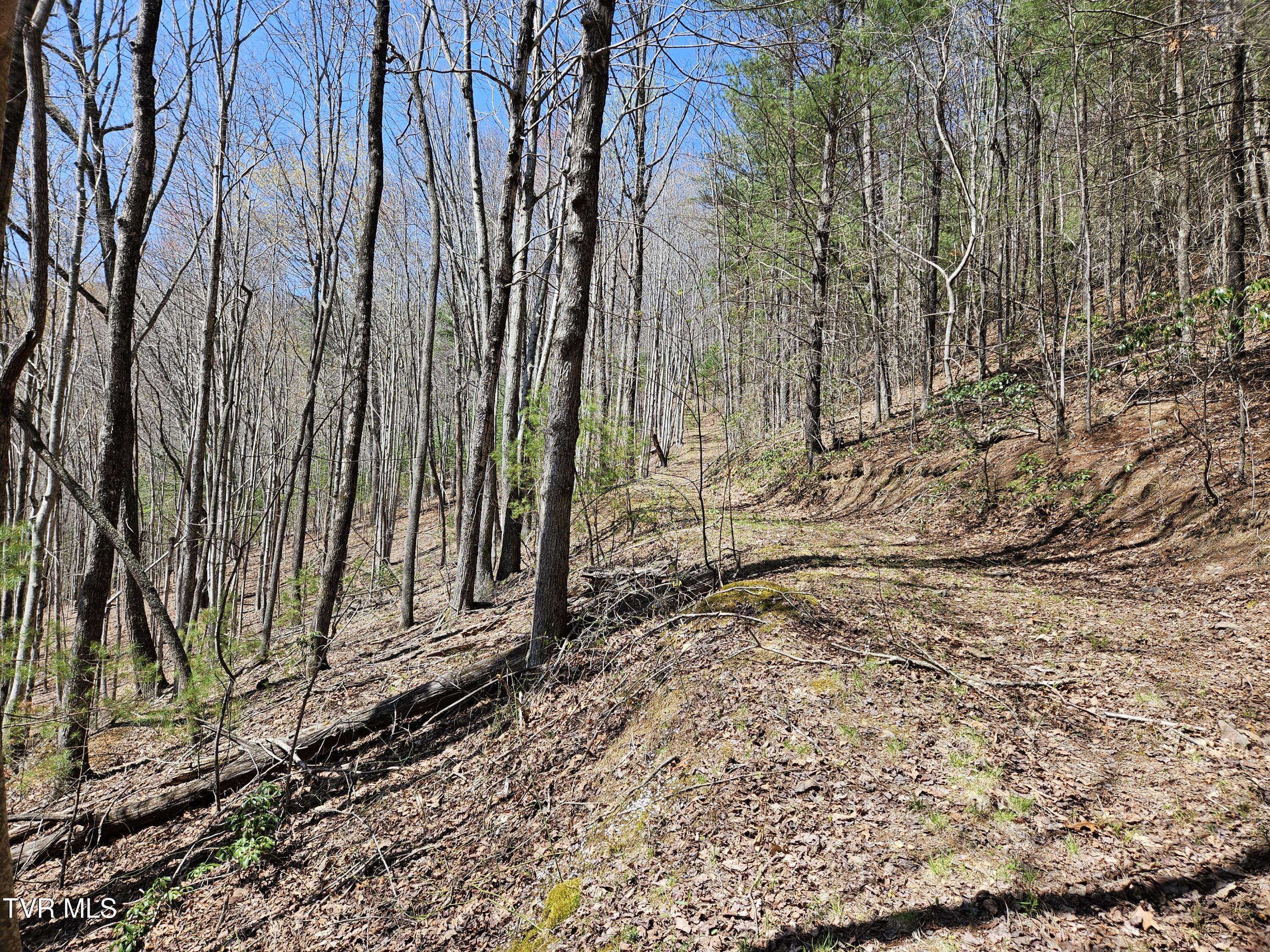 0 Ray Kegley Road, Unit 1C Erwin, TN 37650 - Photo 12 of 27 20250409_145609 (1)