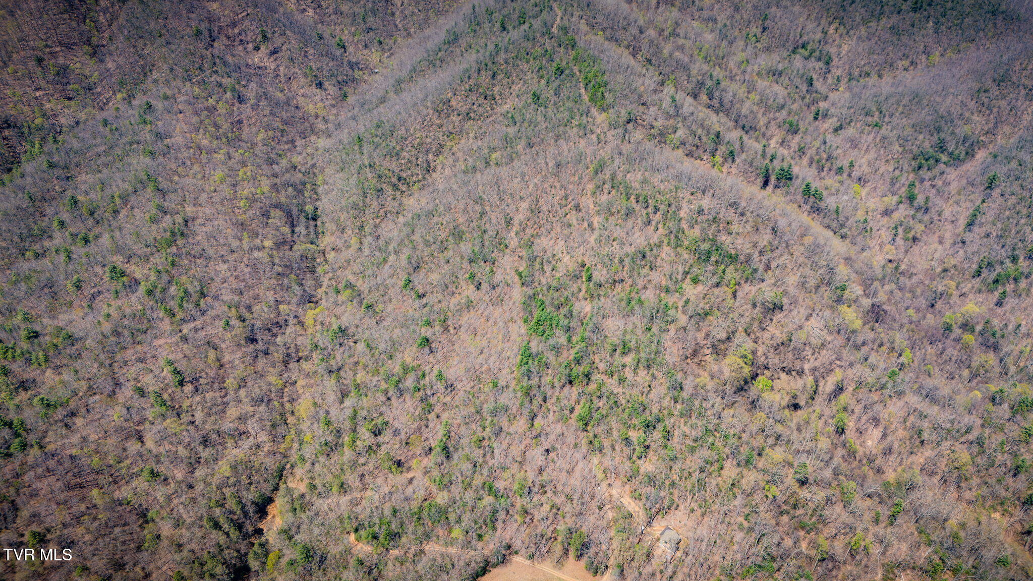 0 Ray Kegley Road, Unit 1C Erwin, TN 37650 - Photo 13 of 27 101