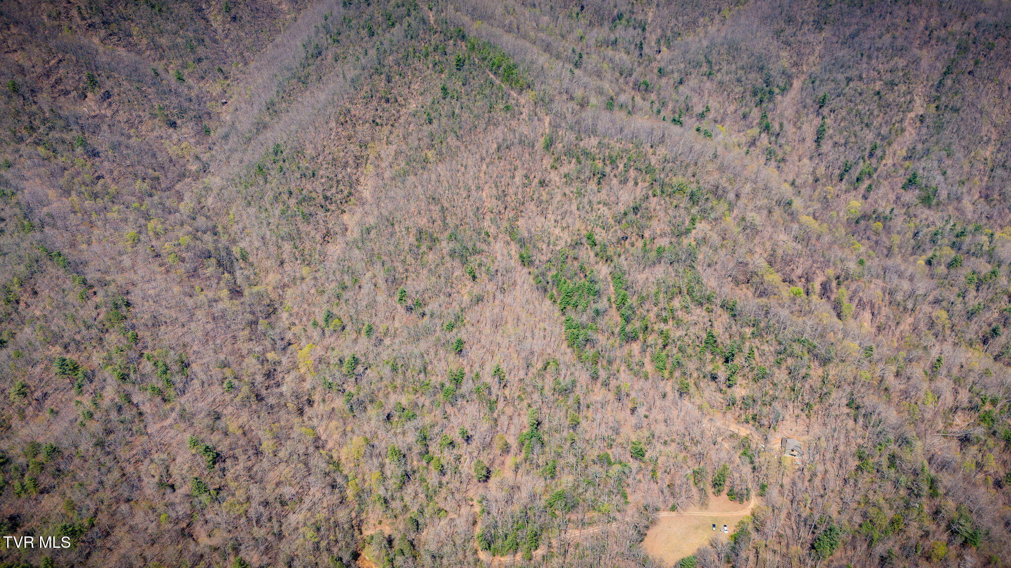 0 Ray Kegley Road, Unit 1C Erwin, TN 37650 - Photo 14 of 27 102