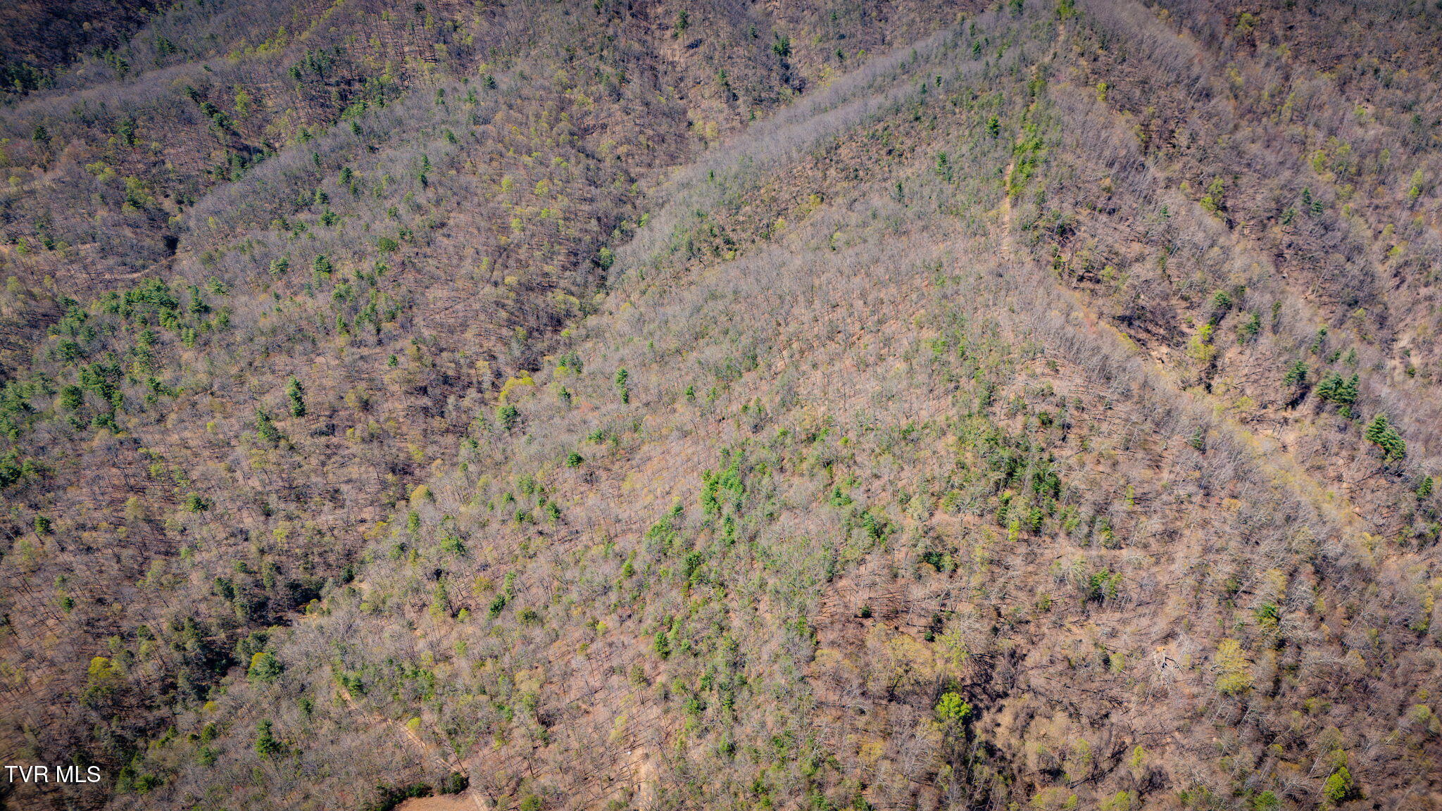 0 Ray Kegley Road, Unit 1C Erwin, TN 37650 - Photo 15 of 27 103