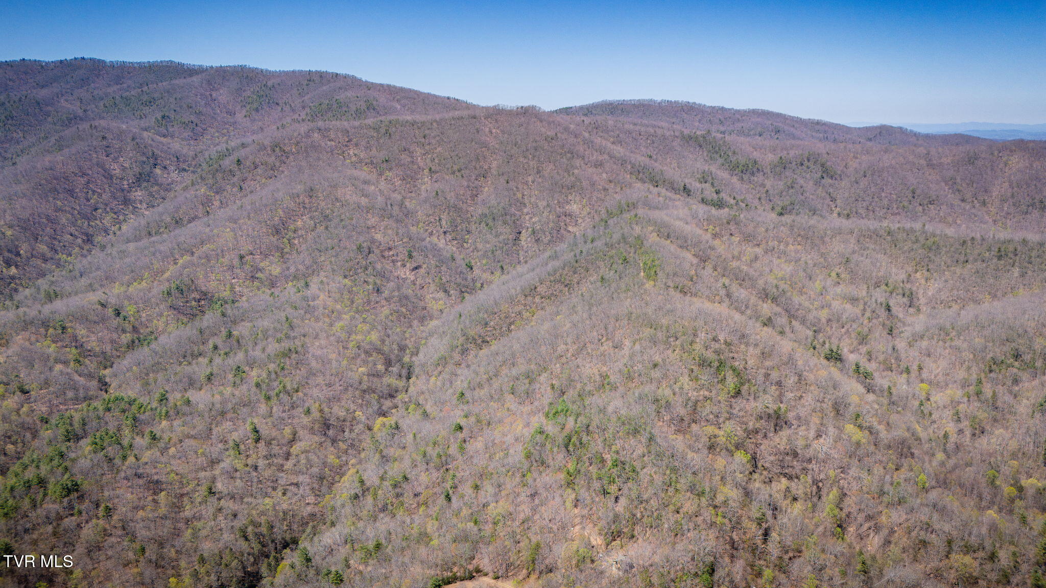 0 Ray Kegley Road, Unit 1C Erwin, TN 37650 - Photo 17 of 27 105