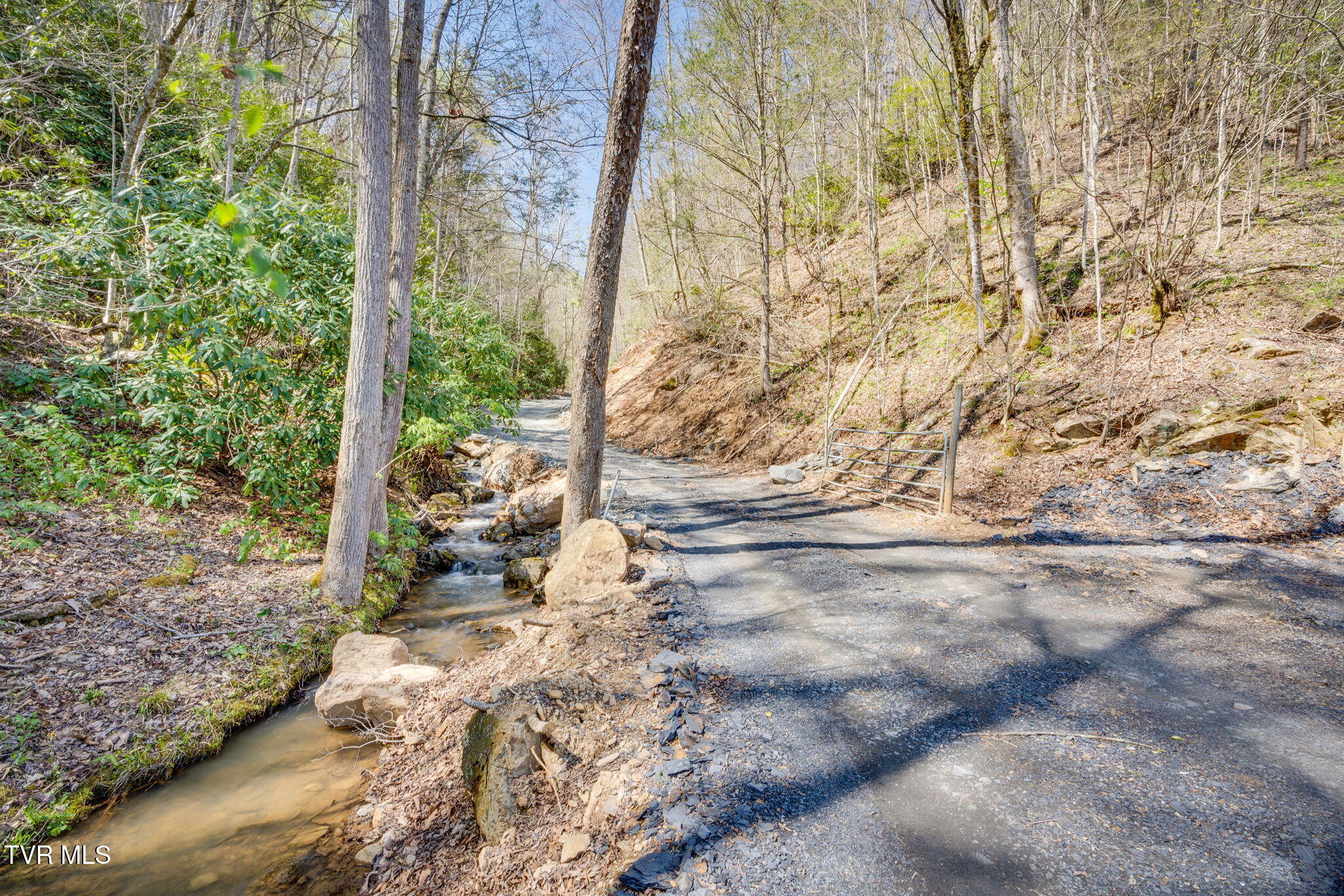 0 Ray Kegley Road, Unit 1C Erwin, TN 37650 - Photo 2 of 27 001