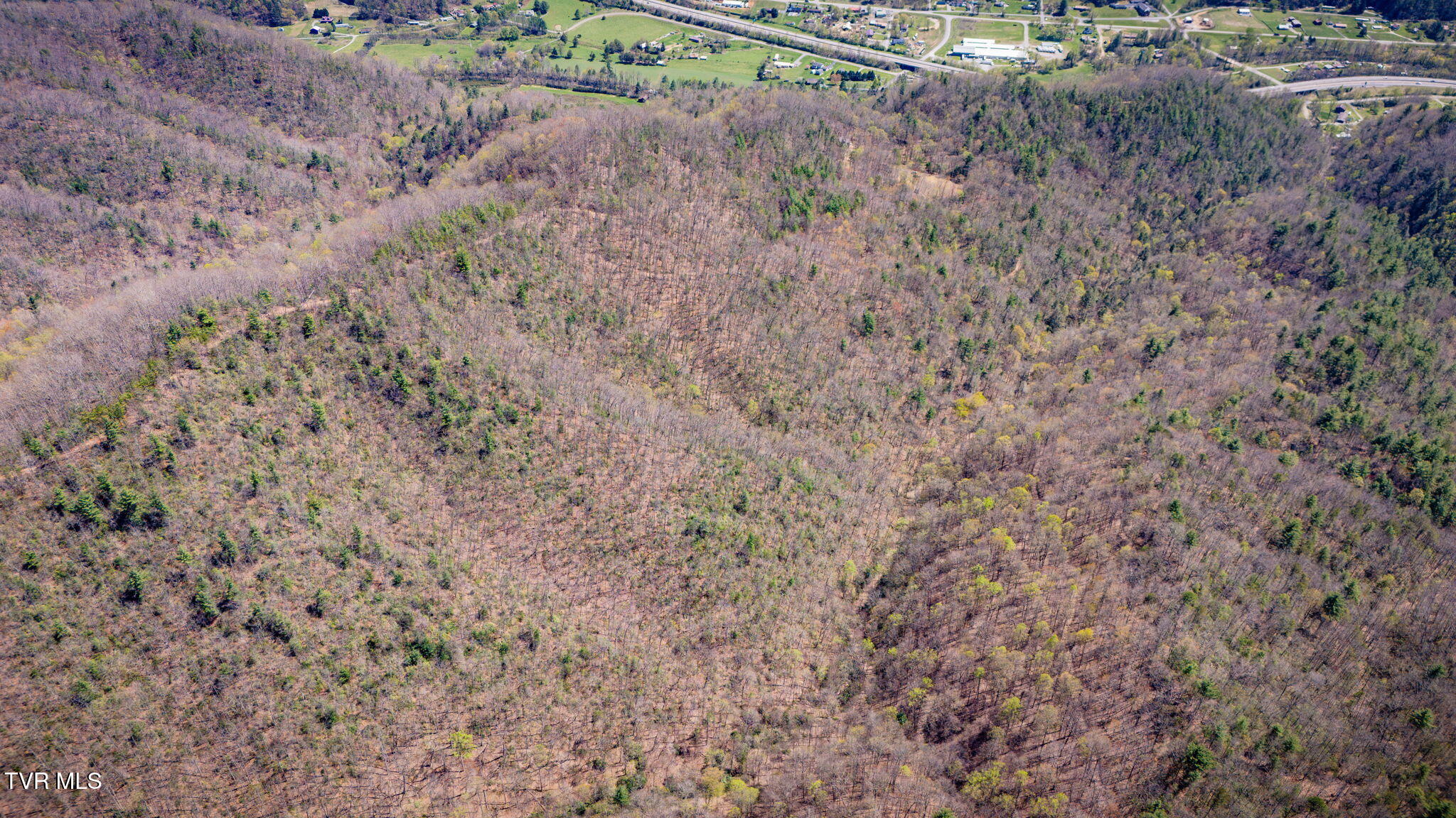 0 Ray Kegley Road, Unit 1C Erwin, TN 37650 - Photo 21 of 27 109