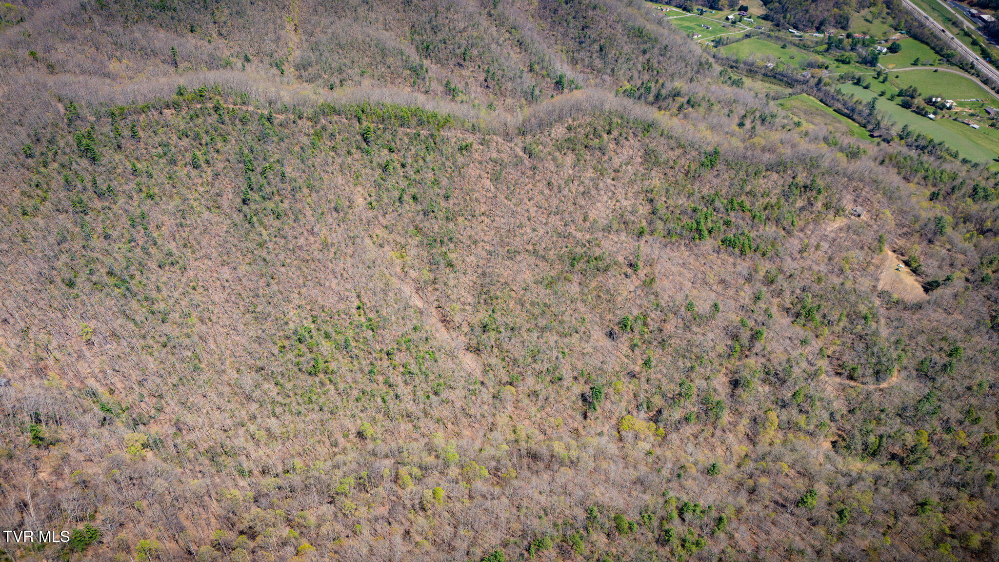 0 Ray Kegley Road, Unit 1C Erwin, TN 37650 - Photo 27 of 27 115