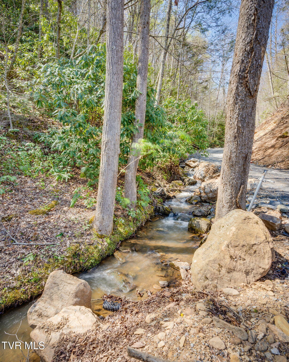 0 Ray Kegley Road, Unit 1C Erwin, TN 37650 - Photo 4 of 27 003